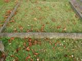 image of grave number 228776